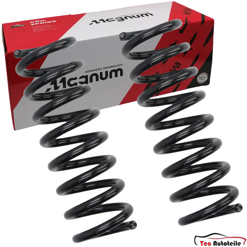 Magnum federn hinten - magnum,